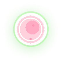 Approximate Ovulation