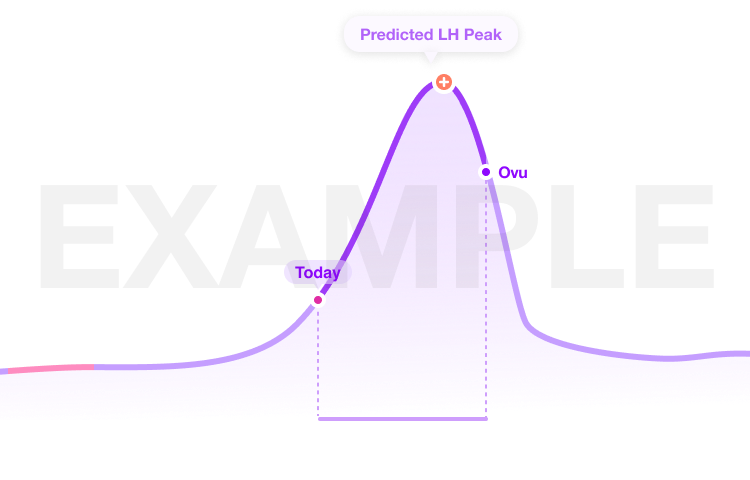 LH Hormone Curve Chart
