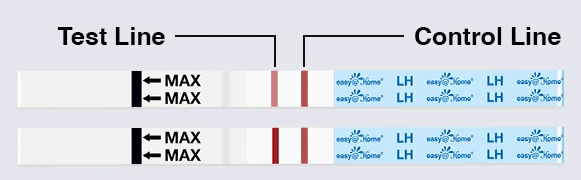 LH levels rising: the test line is darkening but still lighter than the control line