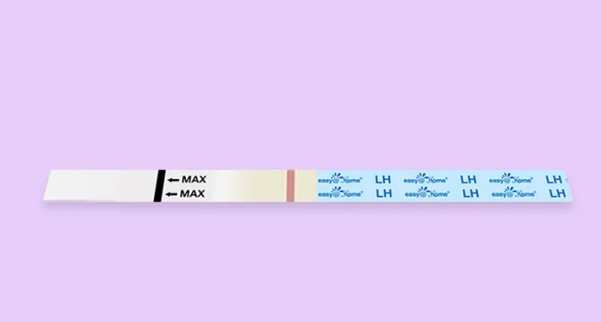 Ovulation test strip lying flat on a clean surface