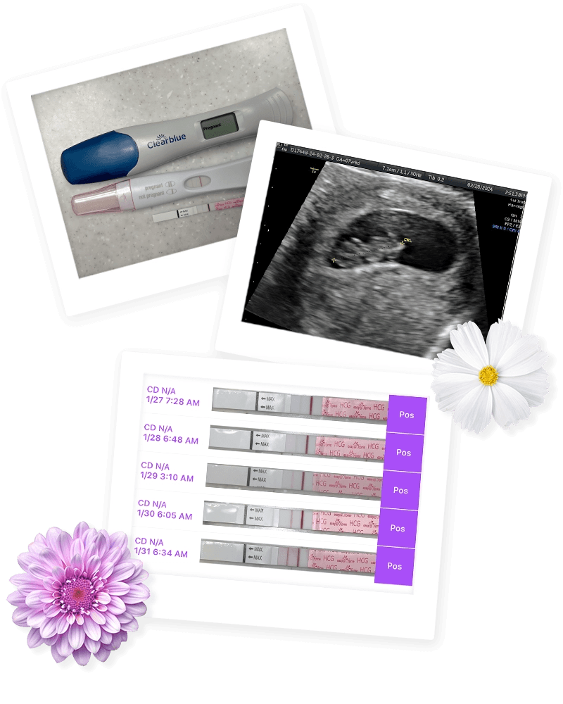 Kim W fertility journey