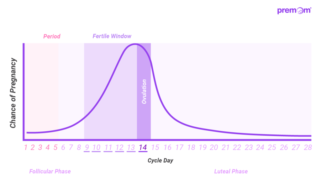 menstrual cycle hormone chart