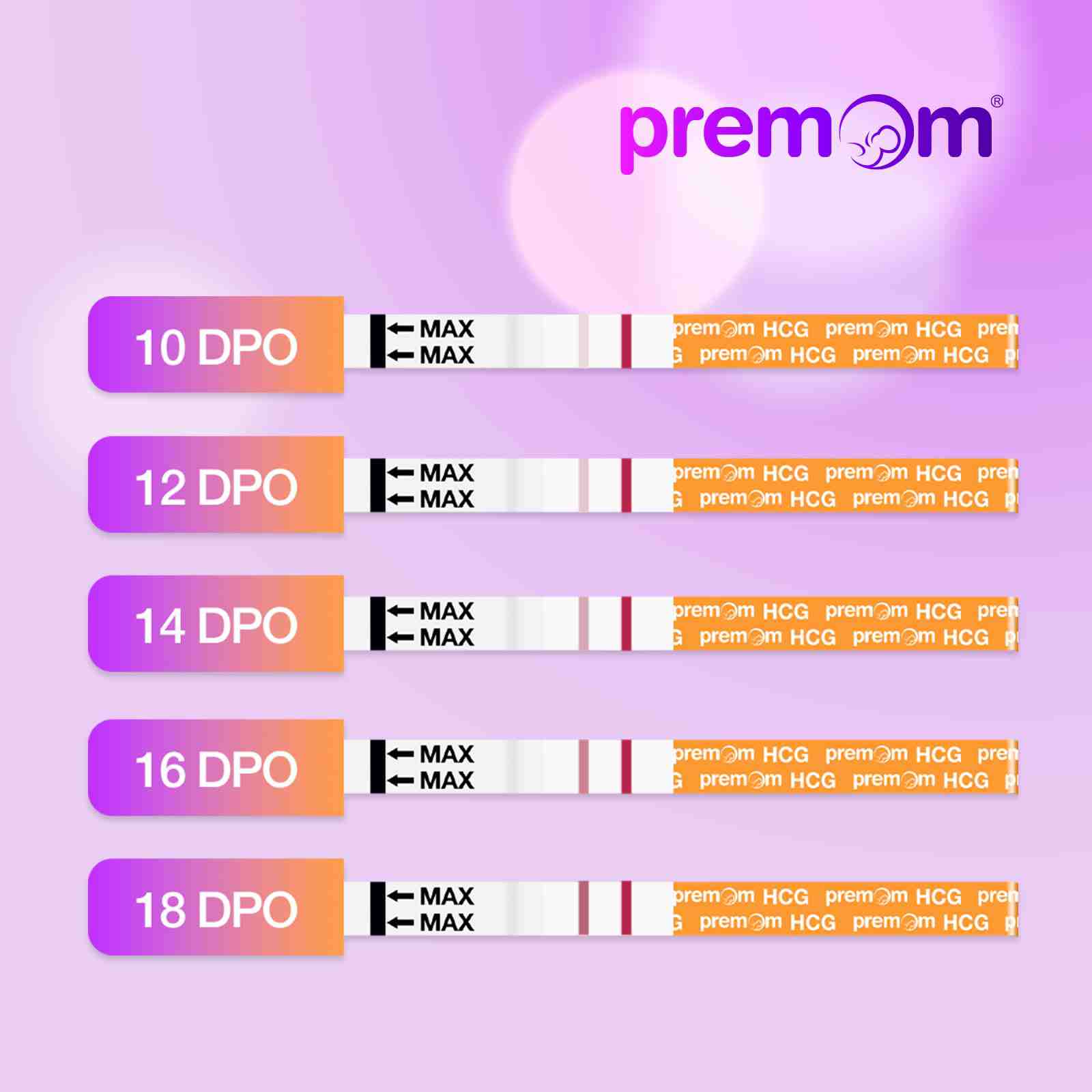 five results of premom hcg test strips.