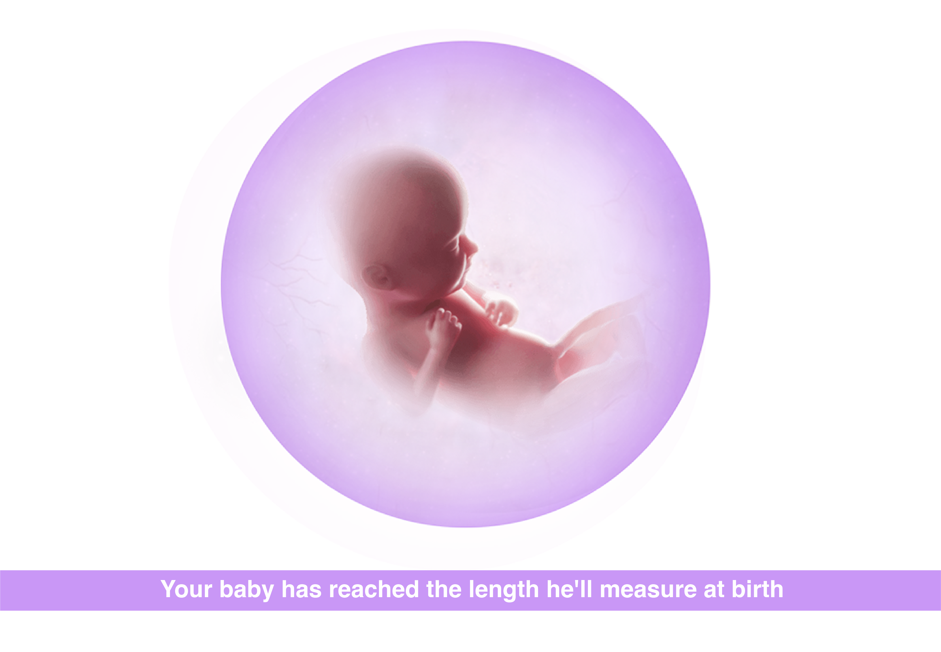 Week 34 Your Baby and Body at 34 Weeks Pregnant - Premom