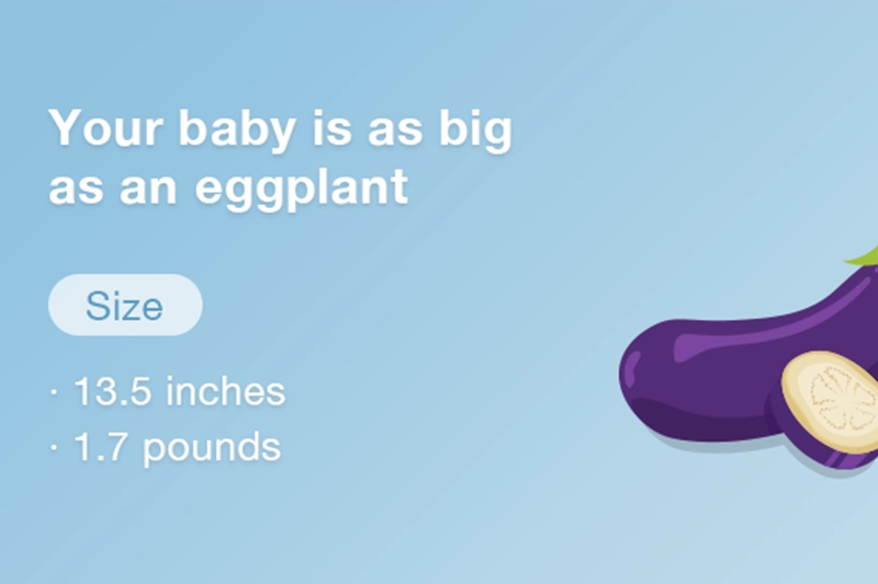 At 25 weeks pregnant your baby is about the size of an eggplant