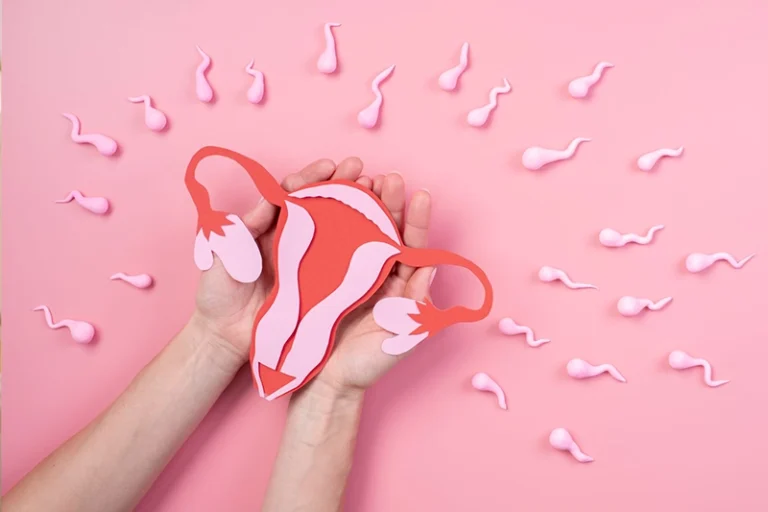 Illustration einer Gebärmutter mit darauf zuschwimmenden Spermien