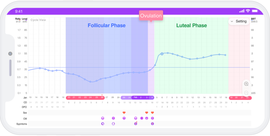 ovulation phases on phone
