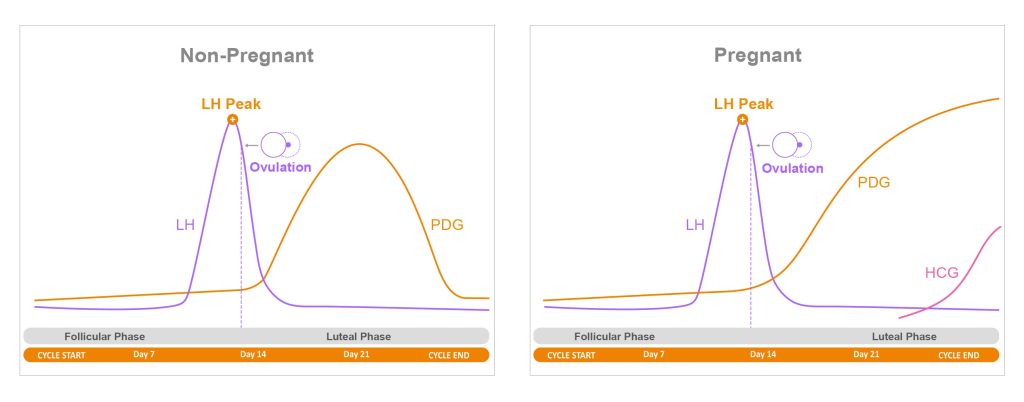 progesterone (PdG) testing chart at home with premom