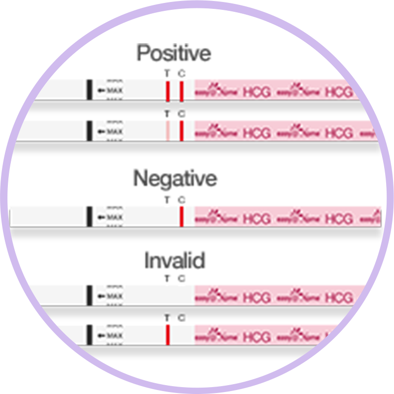 గర్భం-దశ3