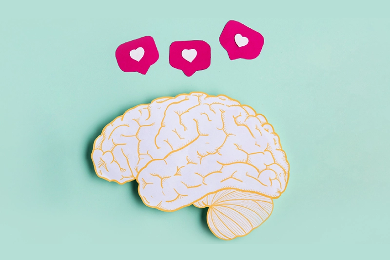 illustration of brain development when using fish oil with dha and epa