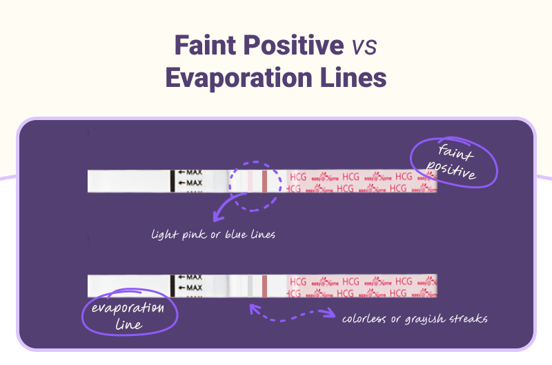 Faint Positive vs Evaporation Lines on Pregnancy Test Strips