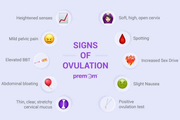 signs of ovulation when trying to get pregnant