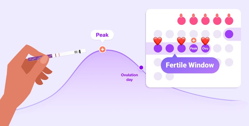 how many times we have to sex to get pregnant