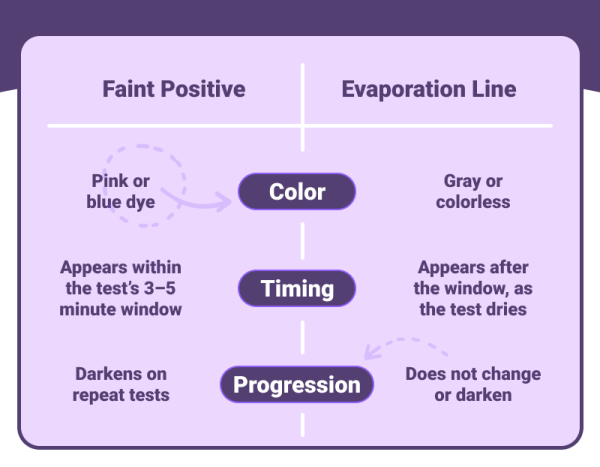 Faint line on pregnancy test: Real Positive or not? - Premom