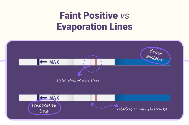 faint line vs evaporation line on pregnancy tests