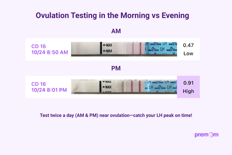 Time of day to take ovulation test, comparison morning vs evening