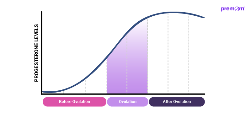 progesterone (PdG) level increases after Ovulation