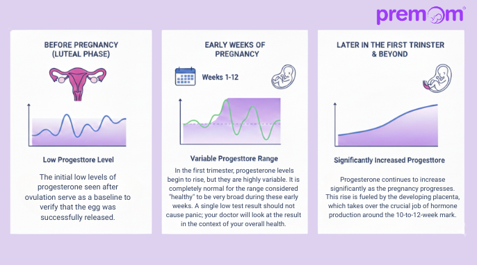 Progesterone changes in different phases.