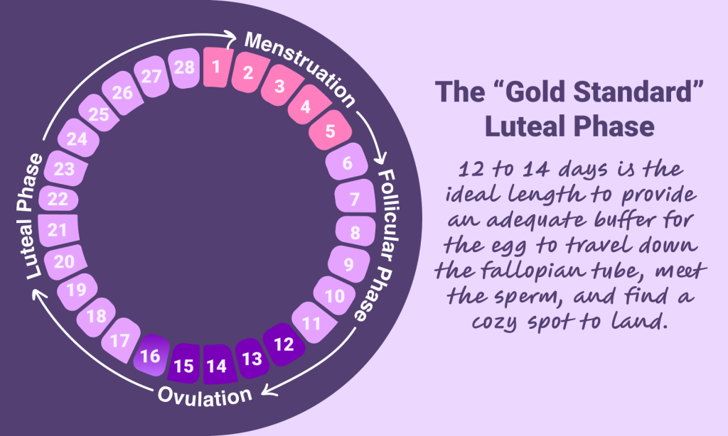 The Gold Standard Luteal Phase length.