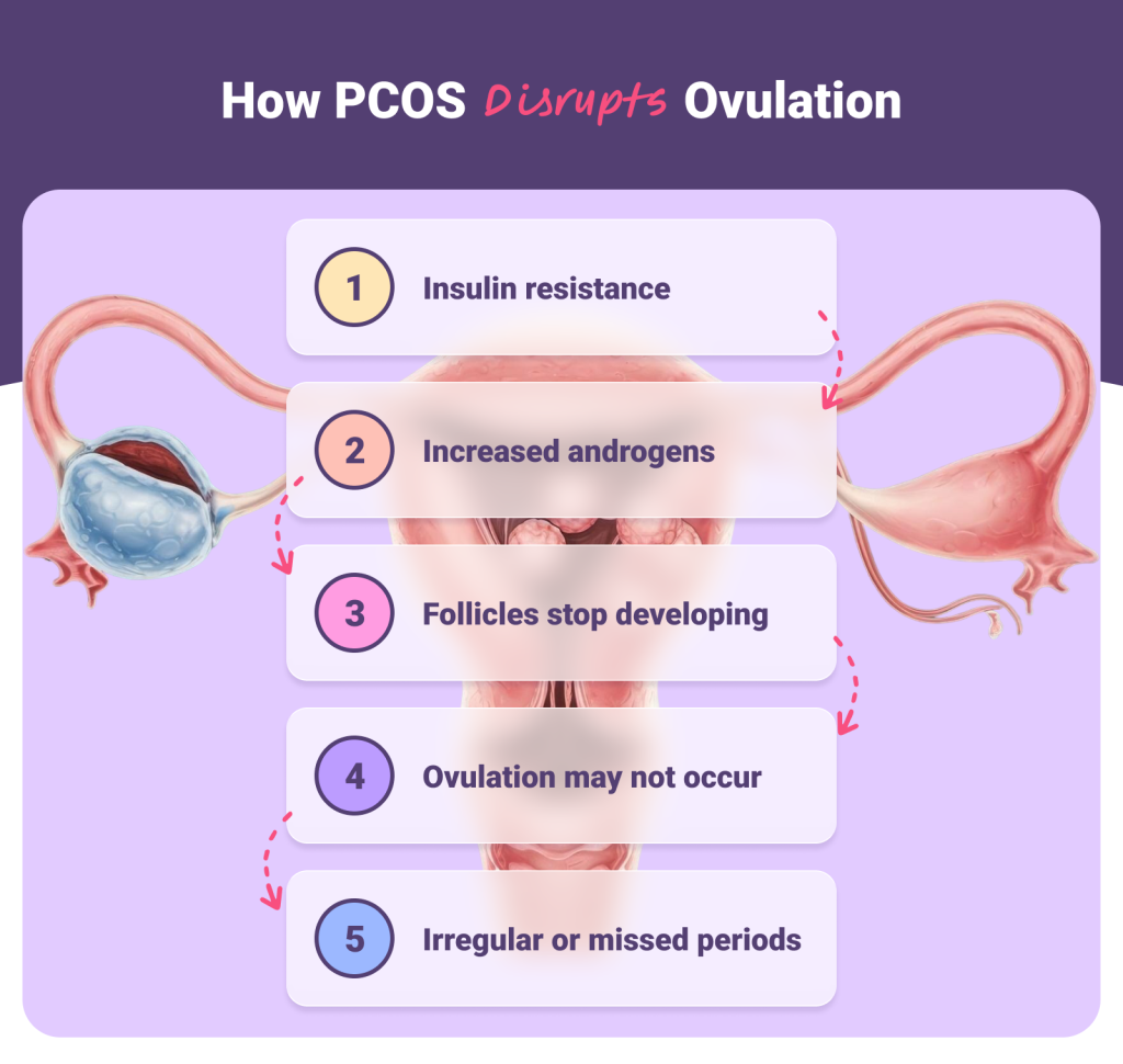 How PCOS disrupts ovulation?