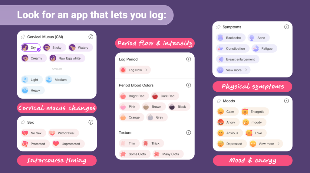 Suchen Sie nach einer App, mit der Sie Folgendes protokollieren können:

Beginn und Ende der Periode, Blutungsstärke

Veränderungen des Zervixschleims (trocken, cremig, eiweißartig)

Körperliche Symptome (Blähungen, Krämpfe, Brustspannen)

Stimmung und Energie

Zeitpunkt des Geschlechtsverkehrs