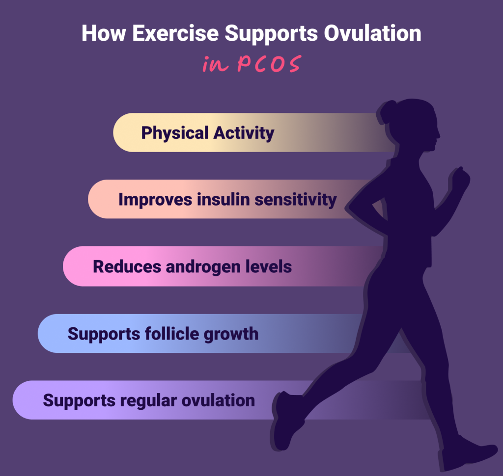 How Exercise Supports Ovulation in PCOS
