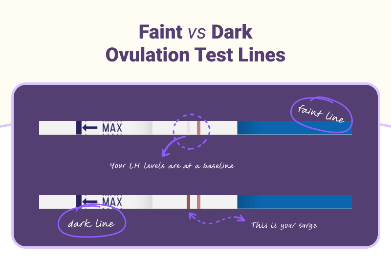 Faint vs Dark Ovulation test lines