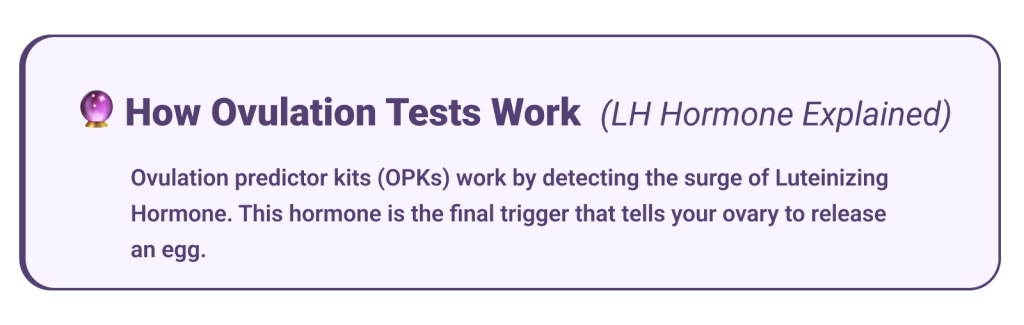 How Ovulation Tests Work (LH Hormone Explained)