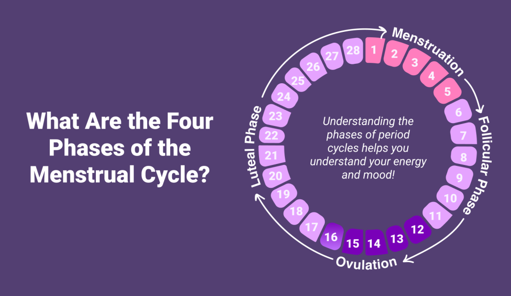 Was sind die vier Phasen des Menstruationszyklus?
-Menstruation
-Follikelphase
-Eisprung
-Lutealphase