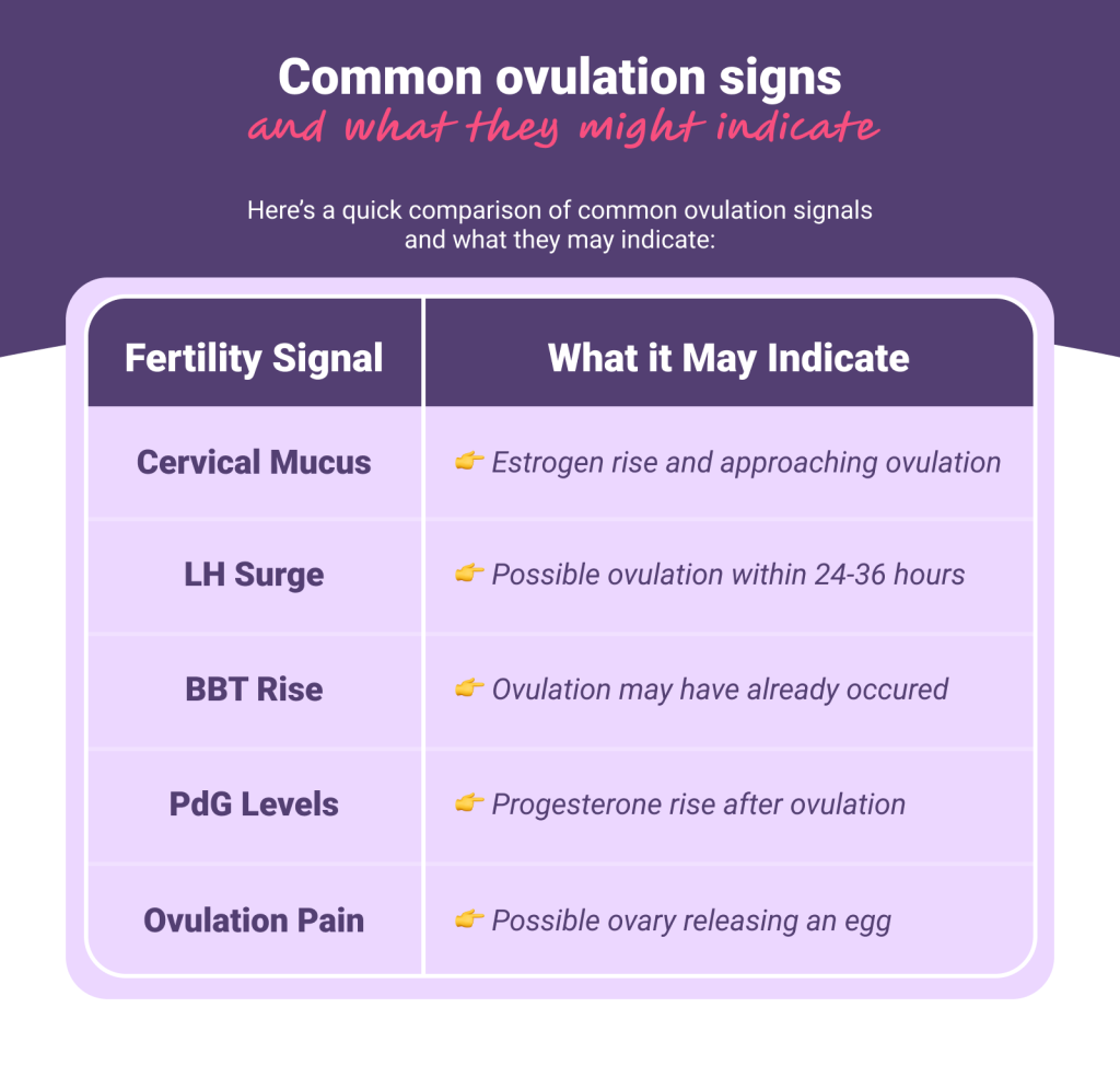 Common ovulation signs and what they may indicate