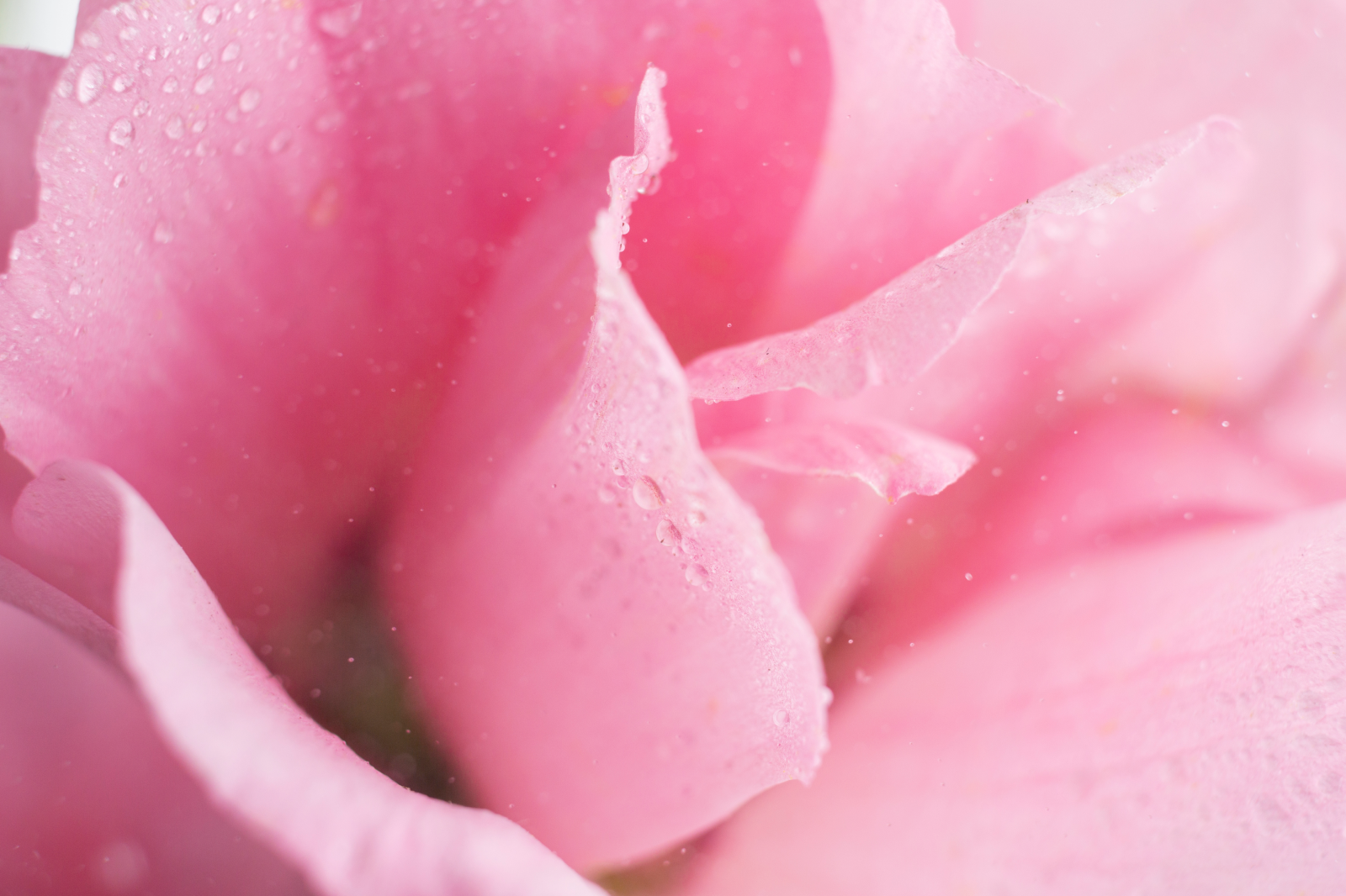 What Does the Cervix Feel Like During Ovulation? Position, Texture and Signs